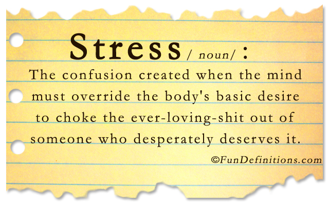 Fun-Definitions-Stress.jpg