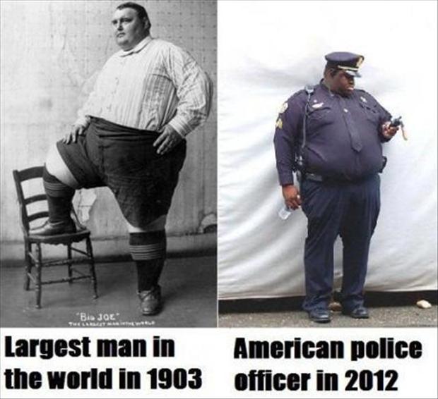 [Image: fat-americans.jpg]
