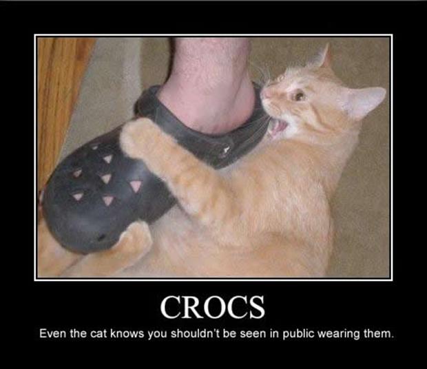 funny-crocs-2.jpg