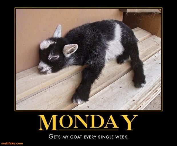 Image result for funny pictures about monday