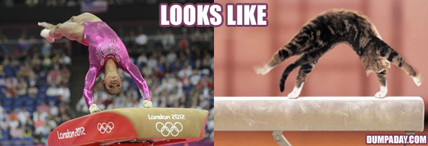 funny-olympic-pictures-animals-2.jpg