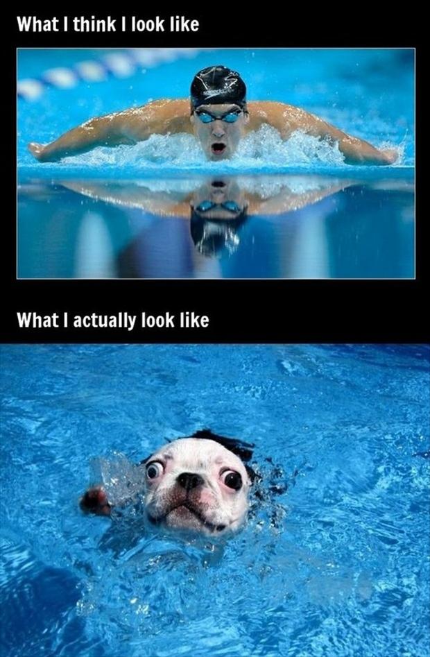 Beijing Olympic Swimmers Funny Pictures 112