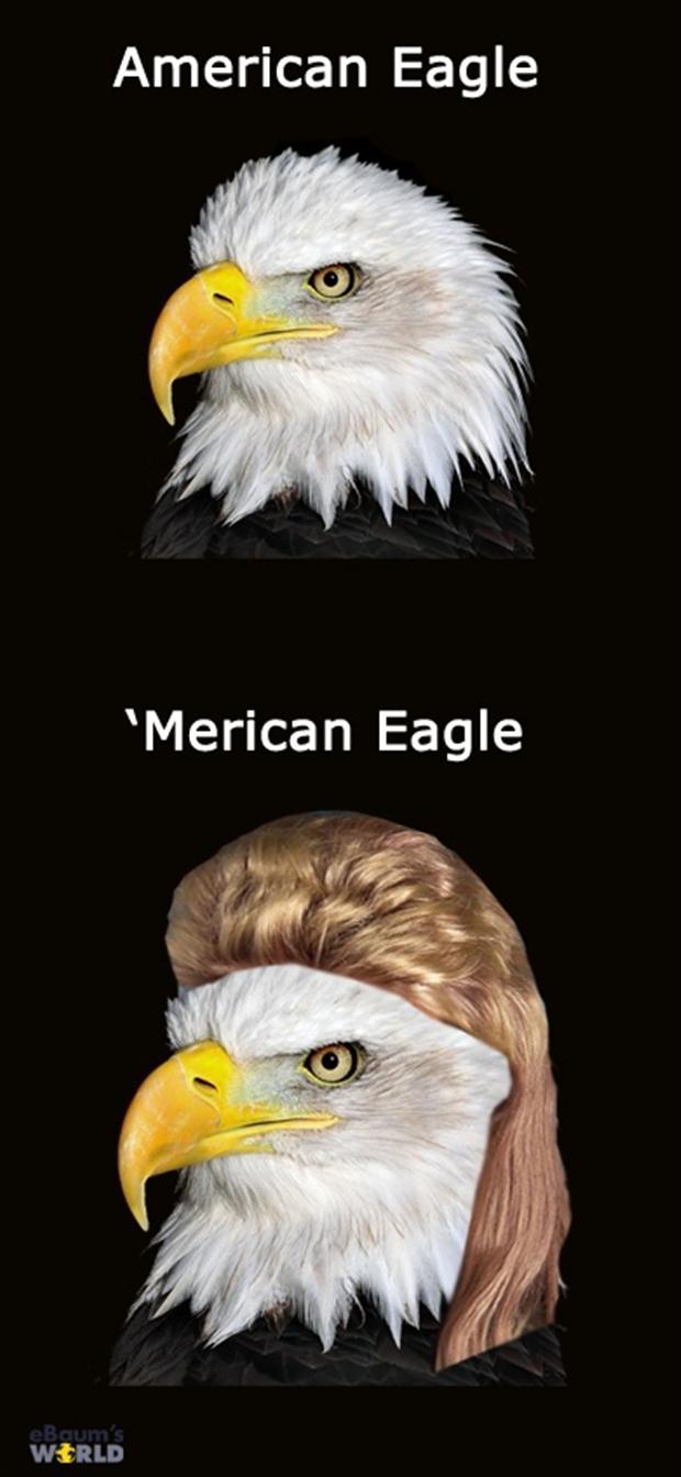 merican-funny-pictures.jpg