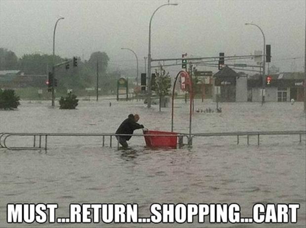 [Image: return-shopping-cart.jpg]