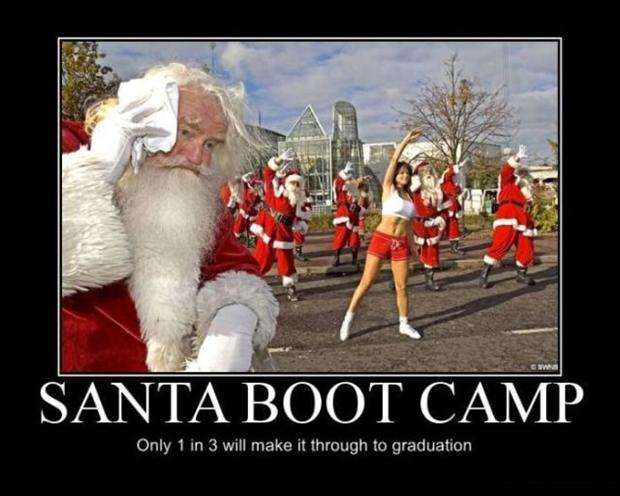 Funny Christmas Pictures, Demotivational Posters (11)