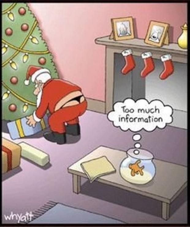 funny-christmas-pictures-21.jpg