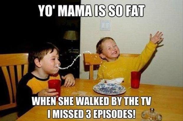 Yo momma so fat I missed 3 episodes when she walked by the tv
