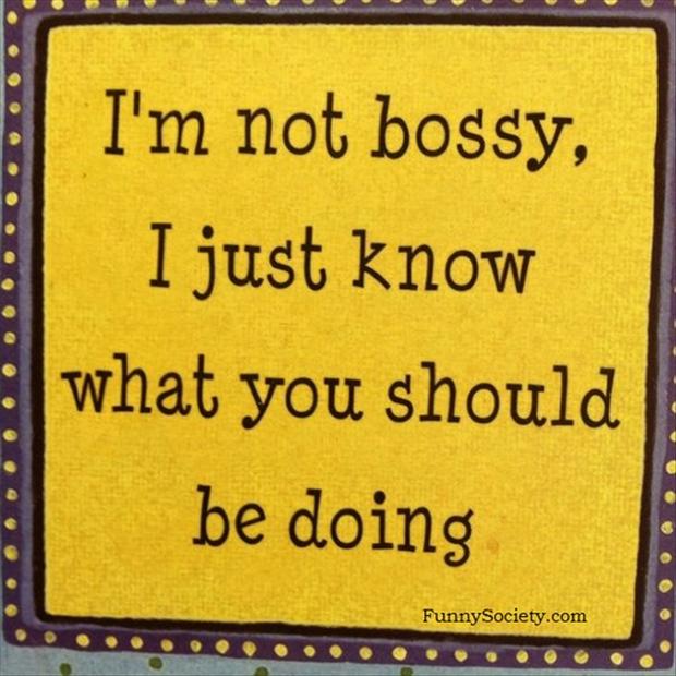 ... funny quotes about bosses 500 x 500 112 kb jpeg funny quotes about