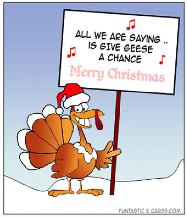 funny christmas pictures, funny christmas turkey