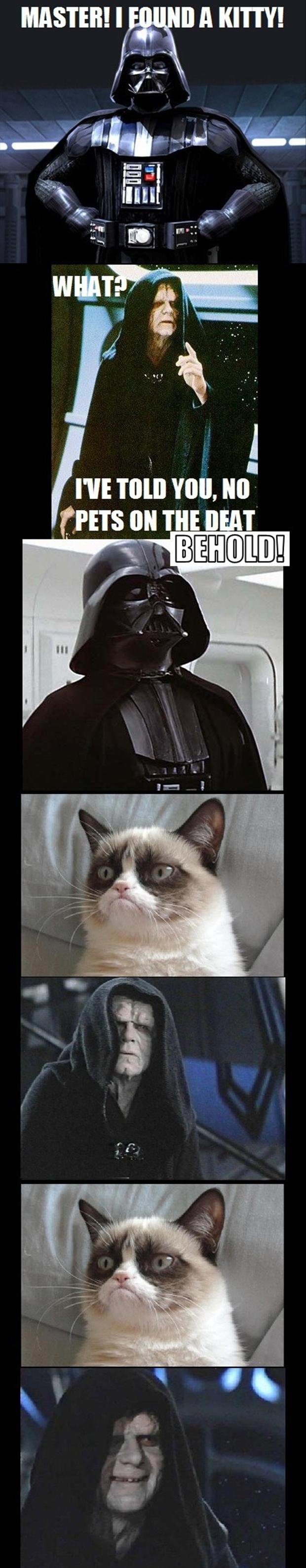 funny-star-wars-grumpy-cat.jpg