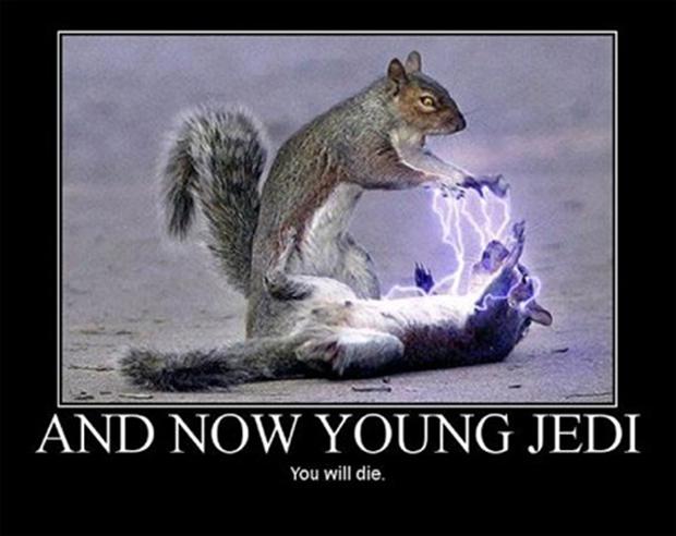 funny-star-wars-pictures-and-now-young-jedi-you-will-die.jpg