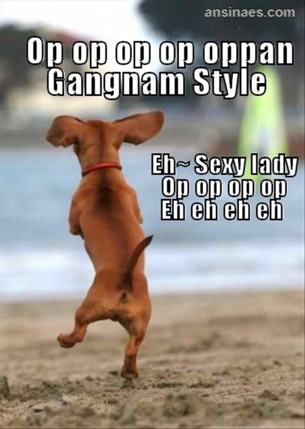 gangnam-style-funny-dancing1.jpg