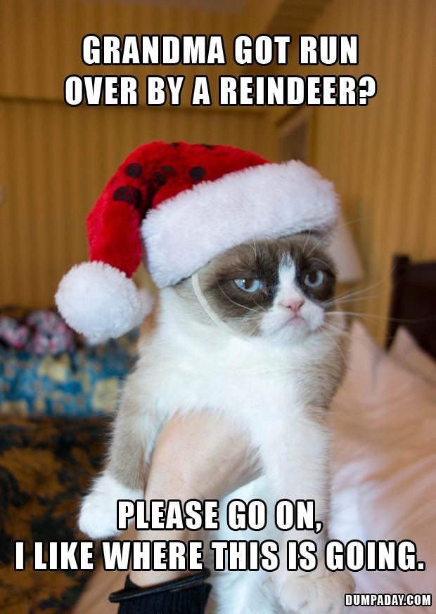 grandma-got-run-over-by-a-reindeer-grumpy-cat-funny-grumpy-cat.jpg