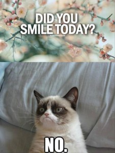 grumpy cat, did you smile today, no