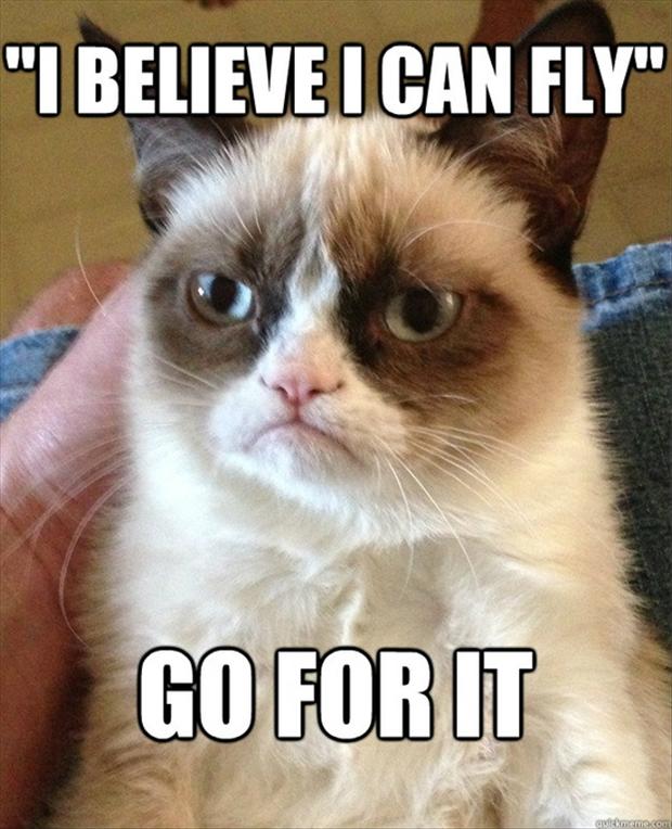 grumpy-cat-i-believe-i-can-fly-funny-pictures.jpg