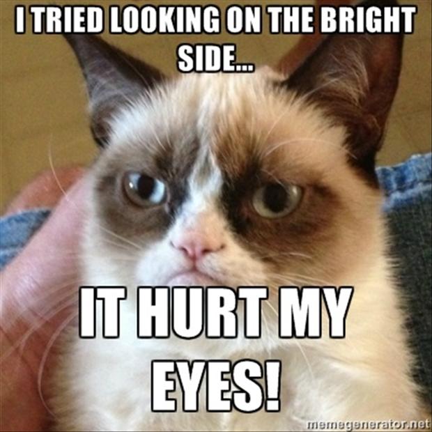 [Image: grumpy-cat-look-on-the-bright-side.jpg]