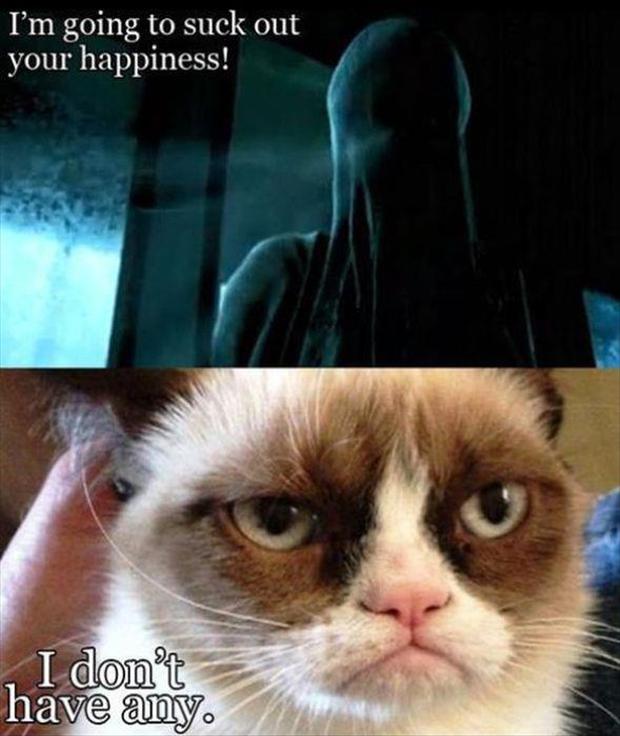 harry-potter-dementors-grumpy-cat-funny-pictures.jpg