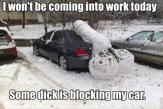 i-will-not-be-coming-to-work-today-funny-snow-pictures.jpg