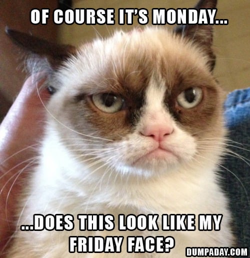 of-course-its-monday-does-this-look-like-my-friday-face-grumpy-cat.jpg