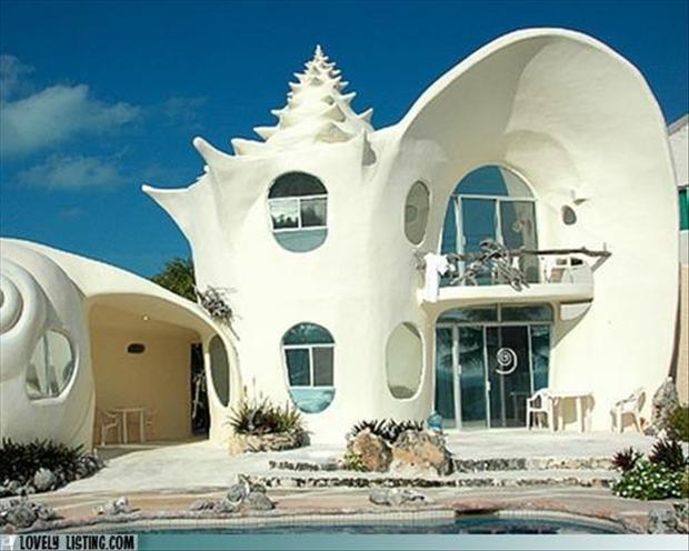 http://www.dumpaday.com/wp-content/uploads/2012/12/sea-shell-shapped-house.jpg