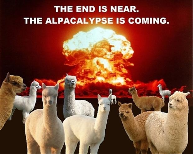 the end is near, funny end of the world pictures - Dump A Day