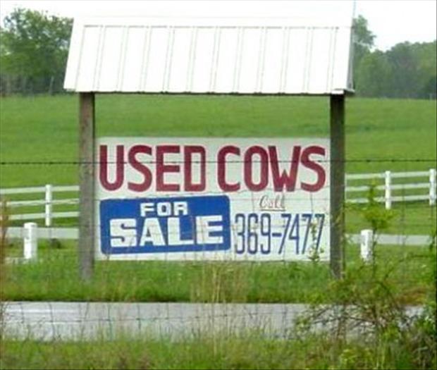 [http://www.dumpaday.com/wp-content/uploads/2012/12/used-cows-funny-pictures.jpg]