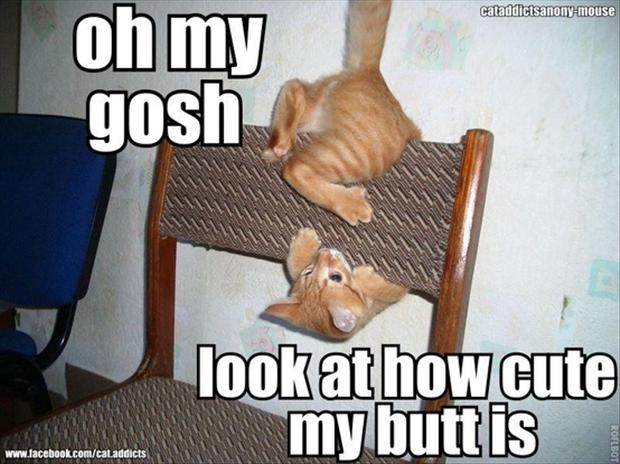 Funny Butt Pictures 32