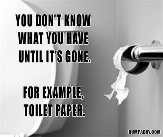 2 funny toilet paper pictures
