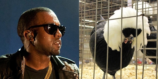 Kanye West This Bird That Is Misunderstood