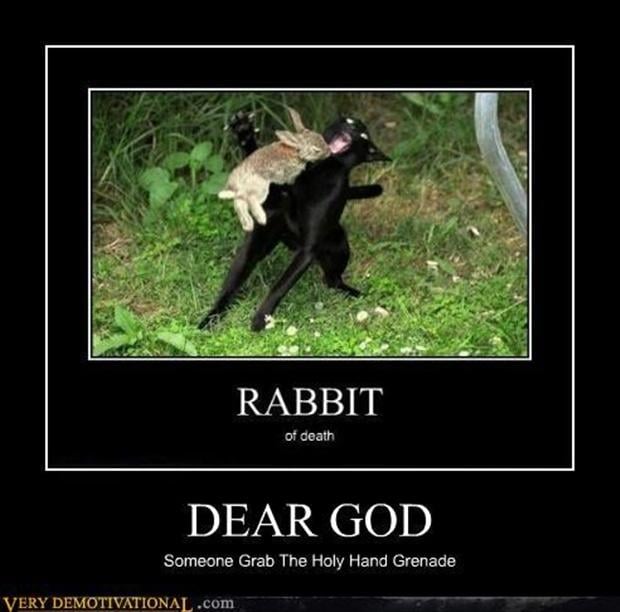 funny demotivational posters, rabbit of death