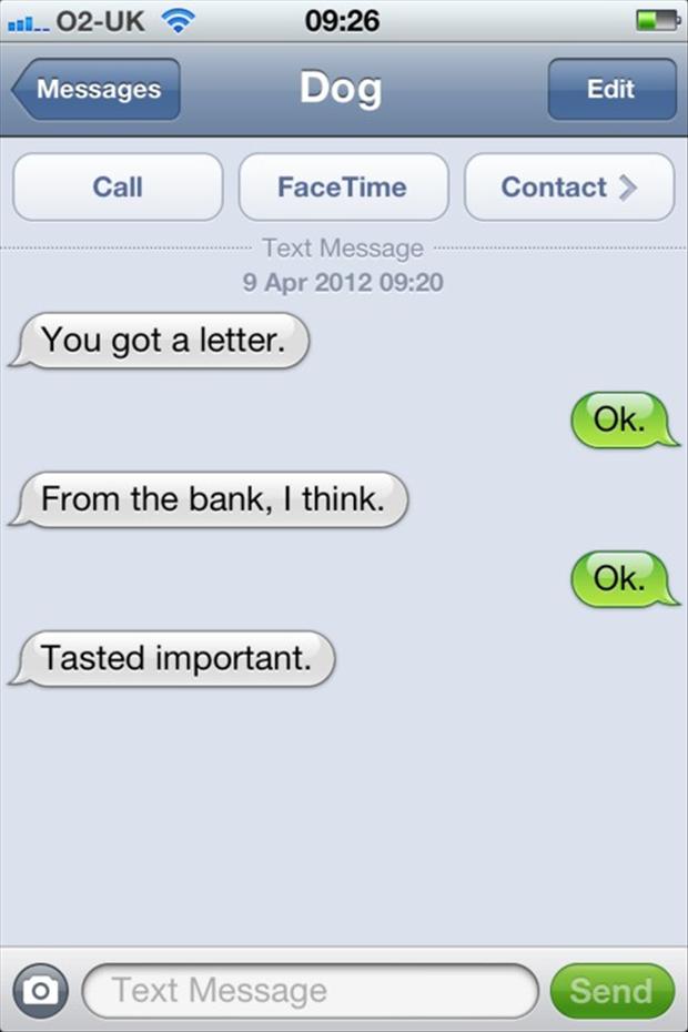 funny texts from dog, you got a letter