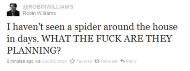 funny twitter quotes about spiders