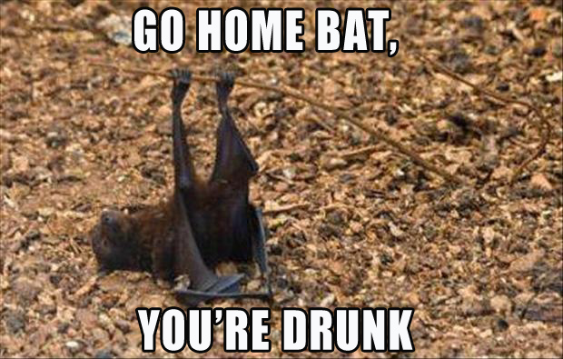 go home bat, you're drunk