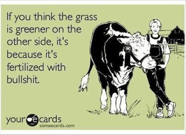 grass is greener on the other side, funny quotes