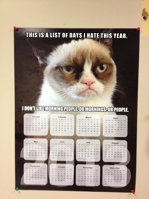 grumpy cat, funny calendars