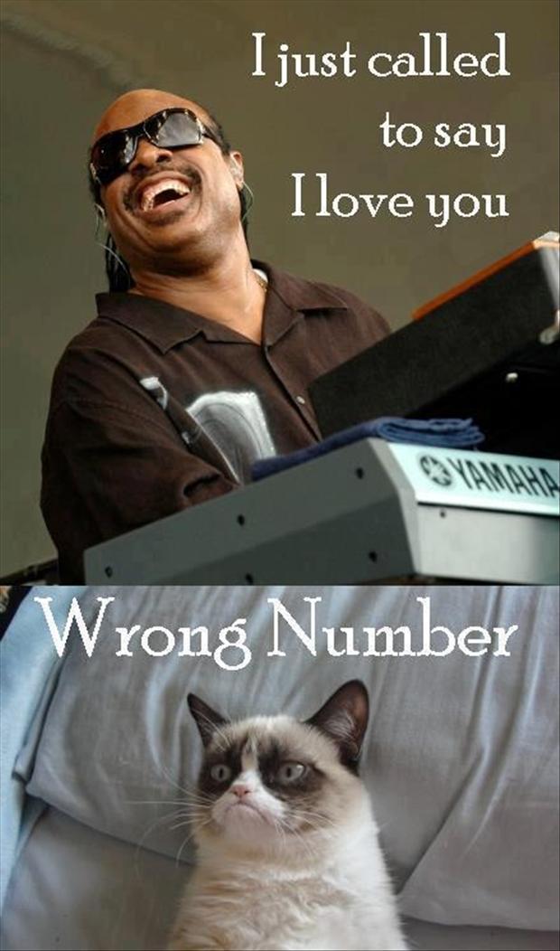 grumpy-cat-stevie-wonder-funny-pictures.jpg