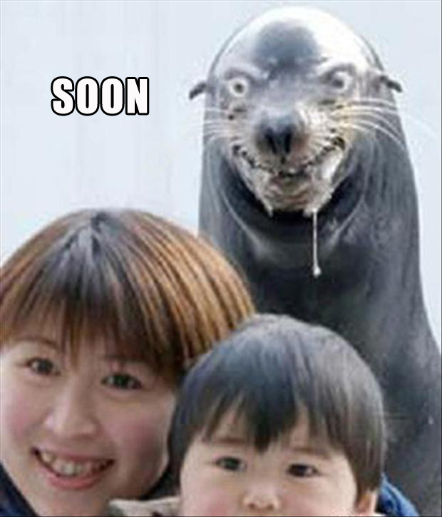 soon-evil-seal.jpg