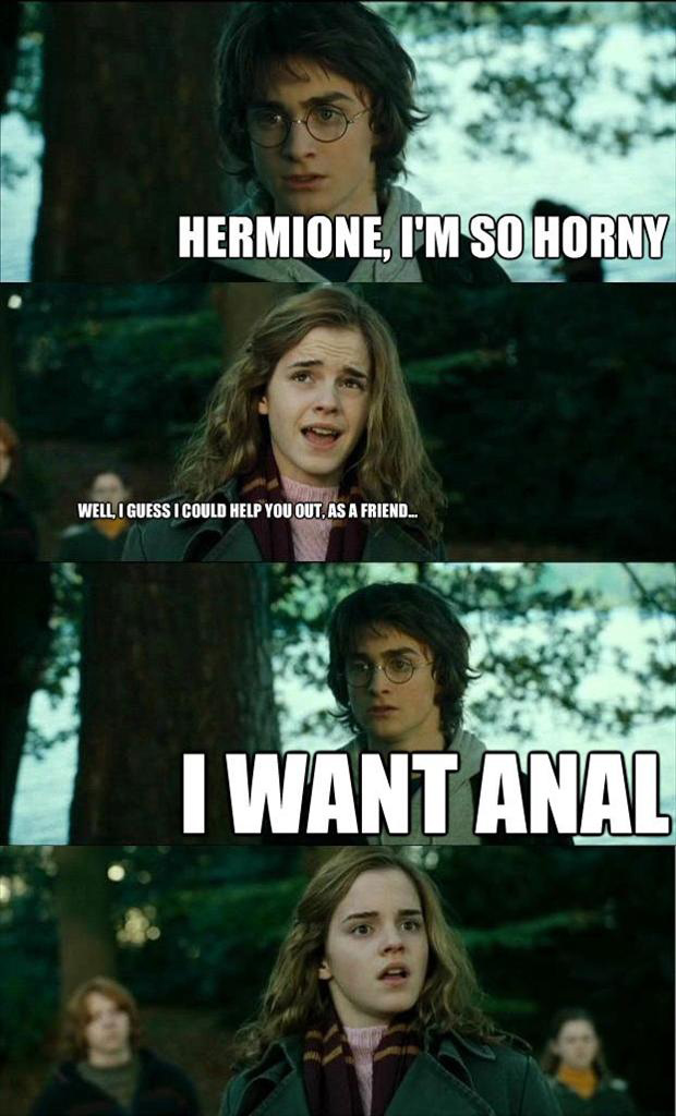 potter memes Harry