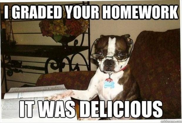 dog ate homework meme