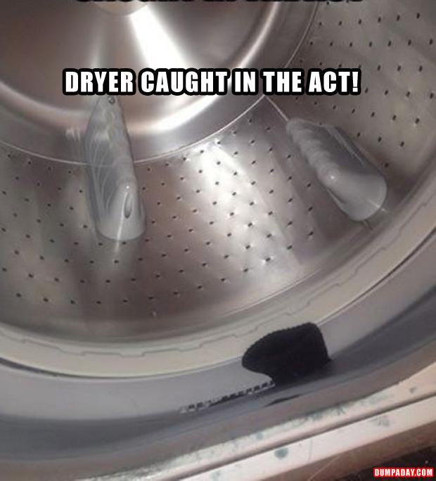 dryer caught stealing socks
