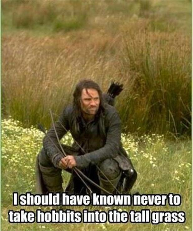 funny pictures, lord of the rings