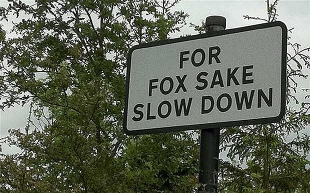 funny road signs  Dump A Day