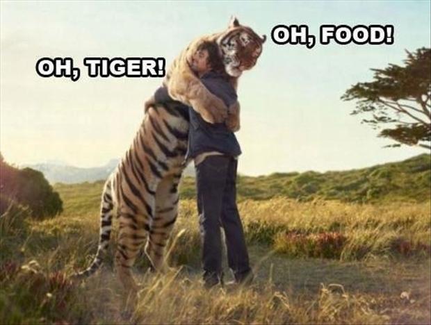 http://www.dumpaday.com/wp-content/uploads/2013/02/funny-tiger-pictures.jpg