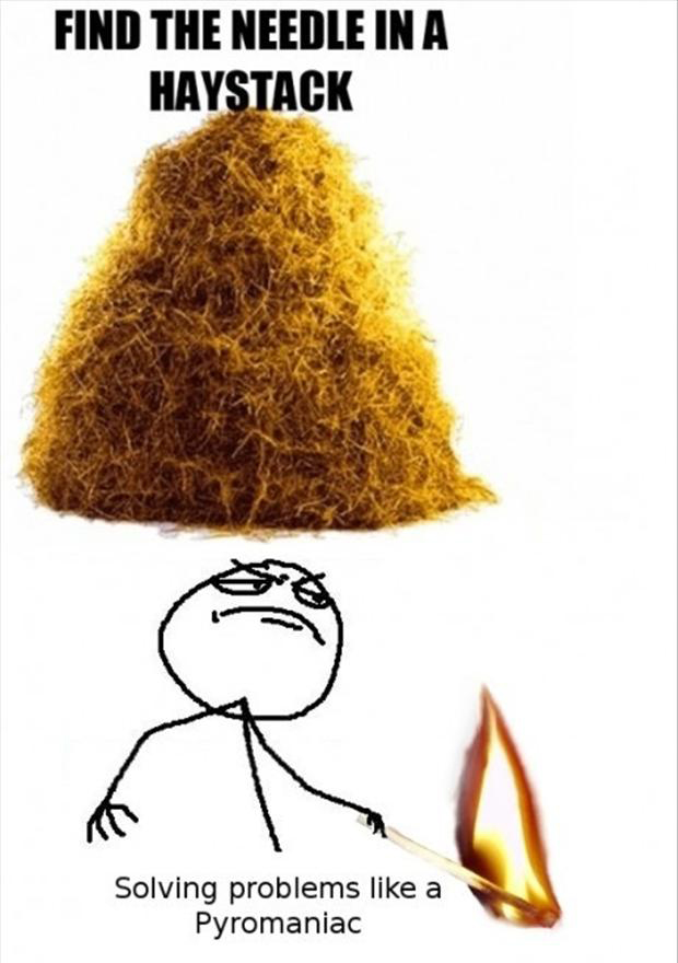 needle in a hay stack, funny pictures
