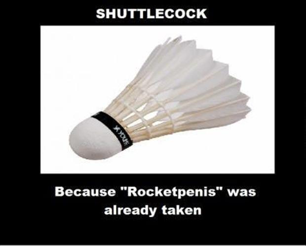 shuttercock funny pictures