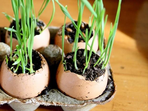 Easy Easter DIY Crafts- Egg planters