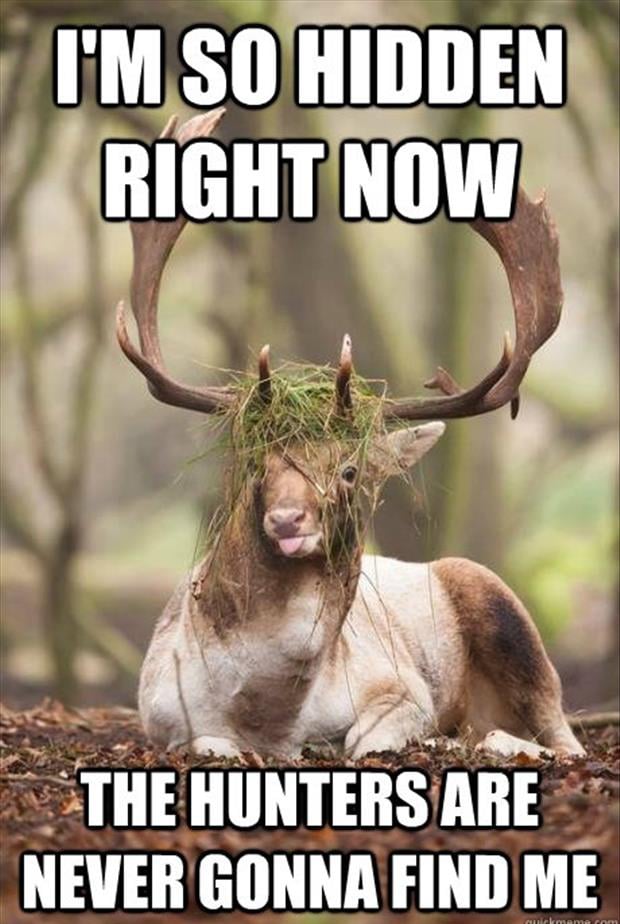 a-funny-deer-hunting-pictures.jpg
