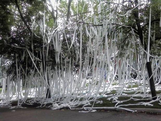 crazy-toilet-paper-prank-for-end-of-year-at-school