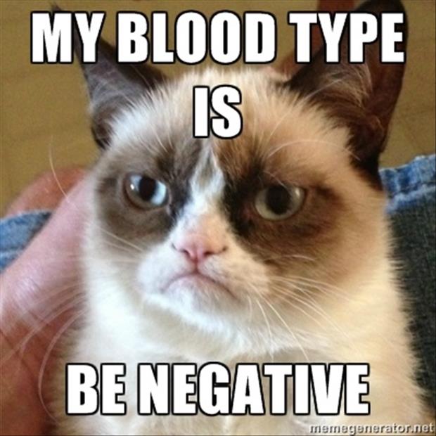 grumpy cat blood type