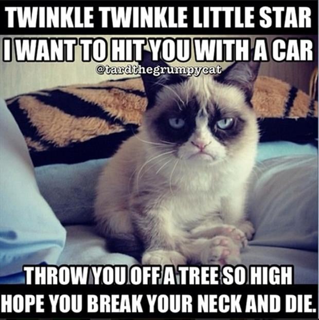 grumpy cat funny pictures